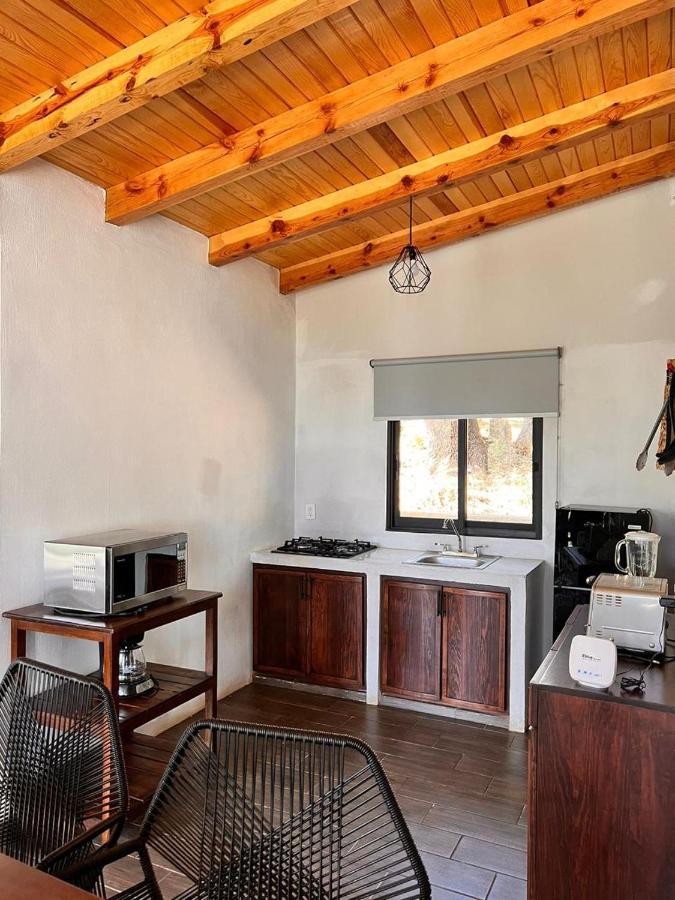 Cabana "Alexa", En El Corazon Del Bosque De Mazamitla Exterior photo